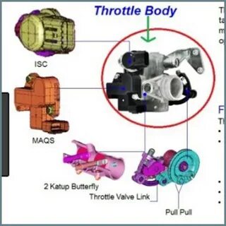 Throttle перевод