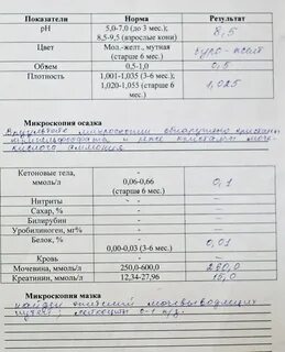Проба реберга норма