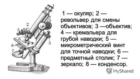 Развитие микроскопа