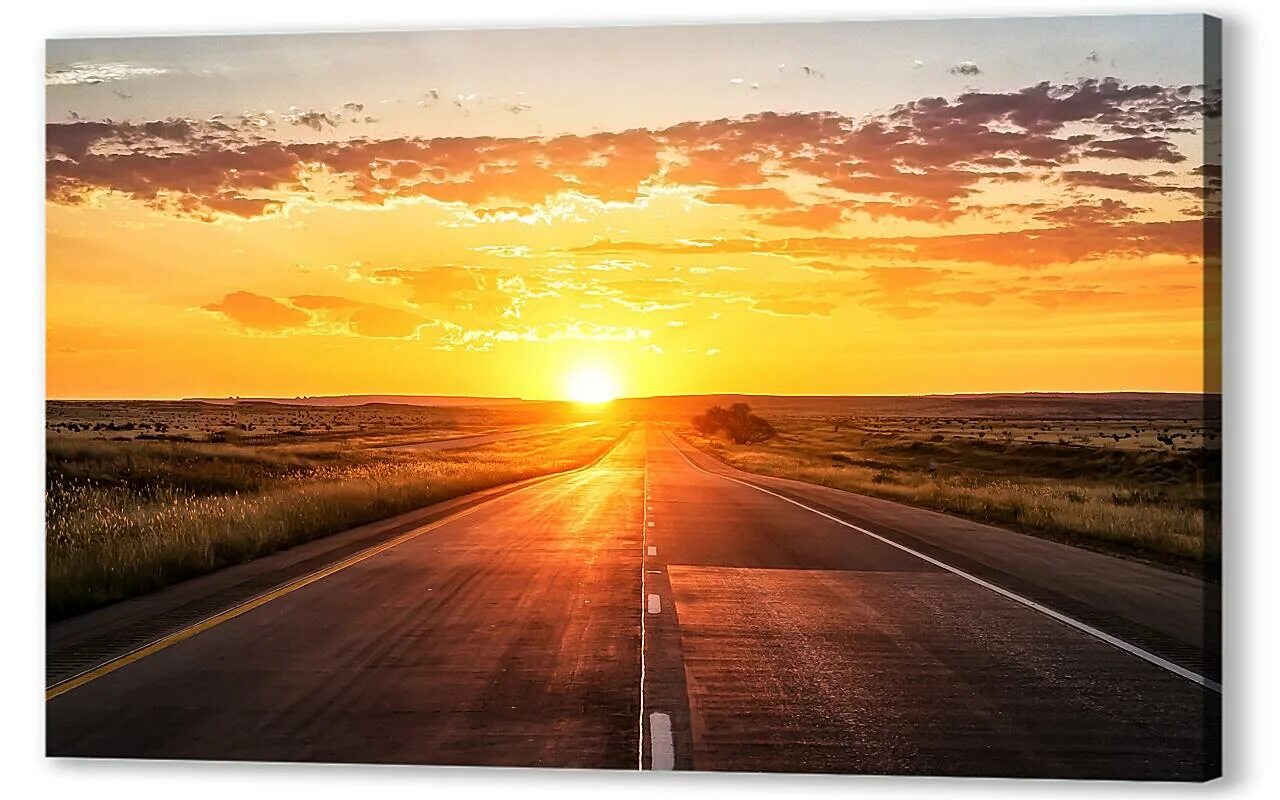 Человек на фоне звездного неба. Лавандовое поле. Человек с фонариком. Человек с фонарем в лесу. Light up the way.