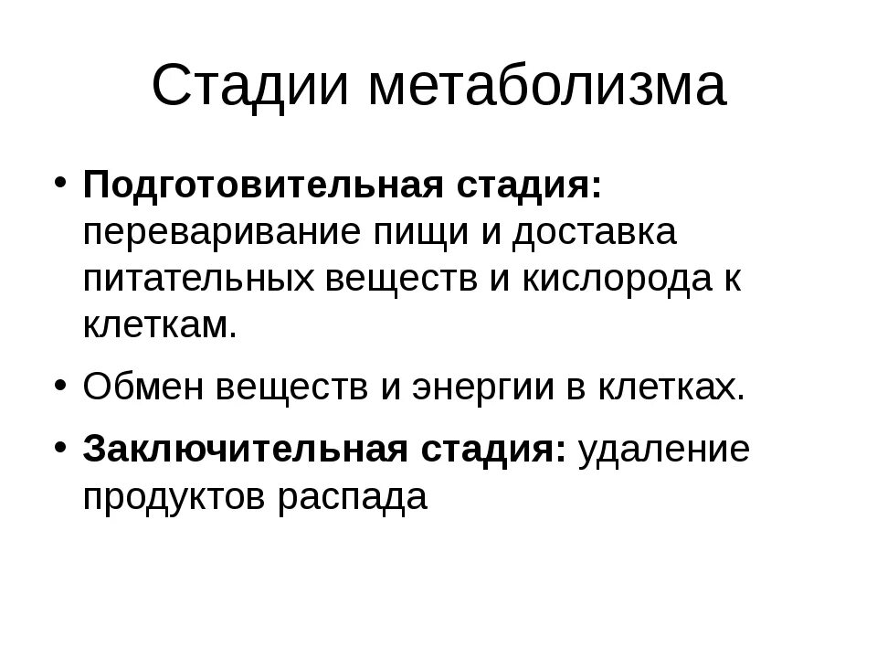 Три этапа обмена. Стадии метаболизма. Этапы обмена веществ. Этапы обмена веществ в организме. Этапы обмена веществ и энергии.