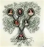 Agelong tree. Genery software. Родословная пушкина древо до наших дней. Семейное древо наполеона бонапарта. Agelong tree 5.