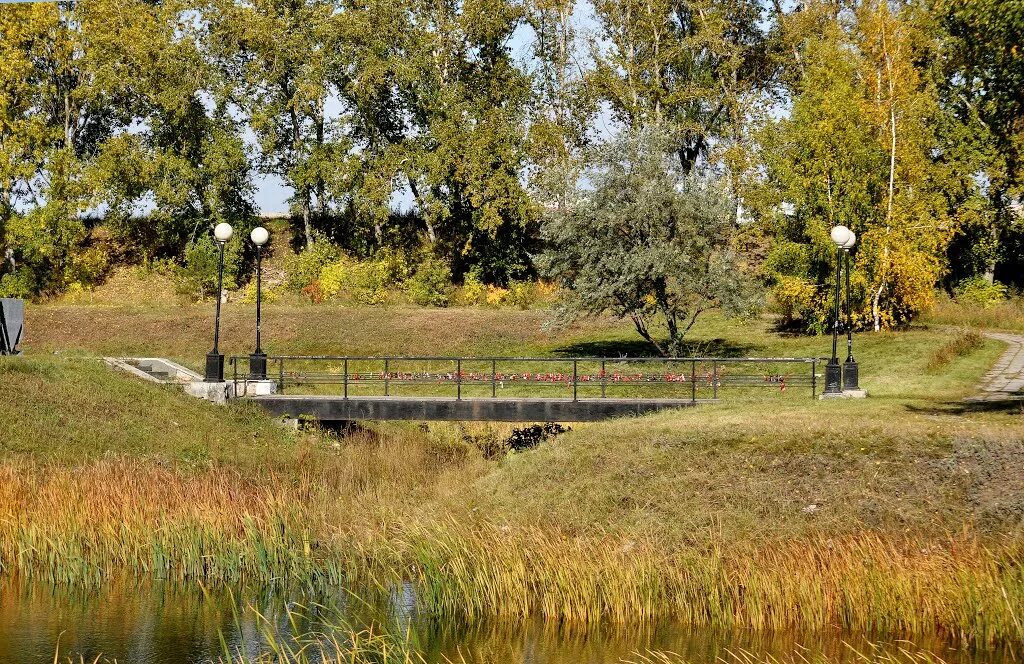 Старозагородная роща омск. Сквер старозагородная роща омск. Улица старозагородная роща. Сквер старозагородная роща омск. Улица старозагородная роща.