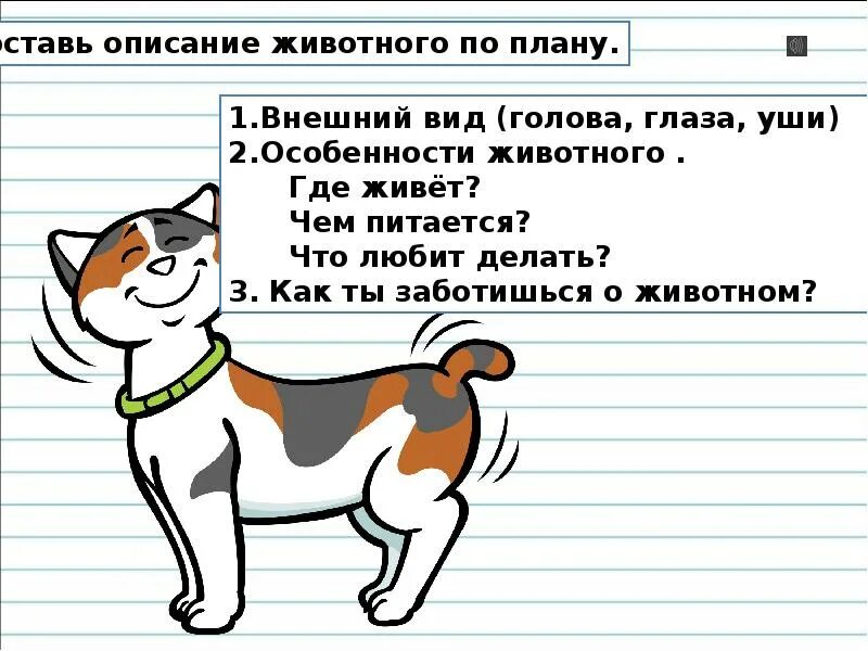 Описание животного 2 класс русский язык. Описание животного по плану. Как описать животное. Описание животных по плану. Опиши животное по плану.