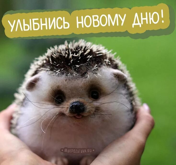 Улыбайтесь этому дню мем Лучшие мемы и шутки из интернета "  Эксклюзивные НОВИНКИ и РЕЛИЗЫ
