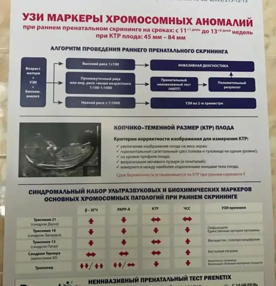 Днк тест беременной. Неинвазивный пренатальный тест НИПТ. Результаты теста НИПТ. НИПТ Результаты расшифровка. Неинвазивный тест ДНК при беременности.