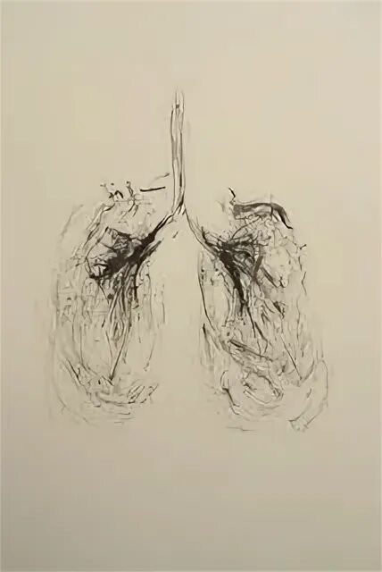 Чернила корень. Органы в графике. Легкие орган Графика. Наброски дыш. Дыхание рисунок карандашом.