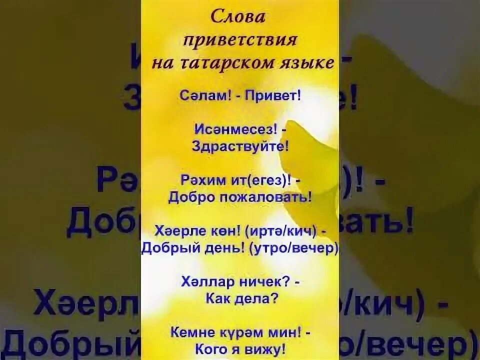 Комплименты на татарском. Открытки с благодарностью на татарском языке. Стихи яна татарском языке. Открытка на др женщине на татарском. Стихи на татарском языке про любовь.