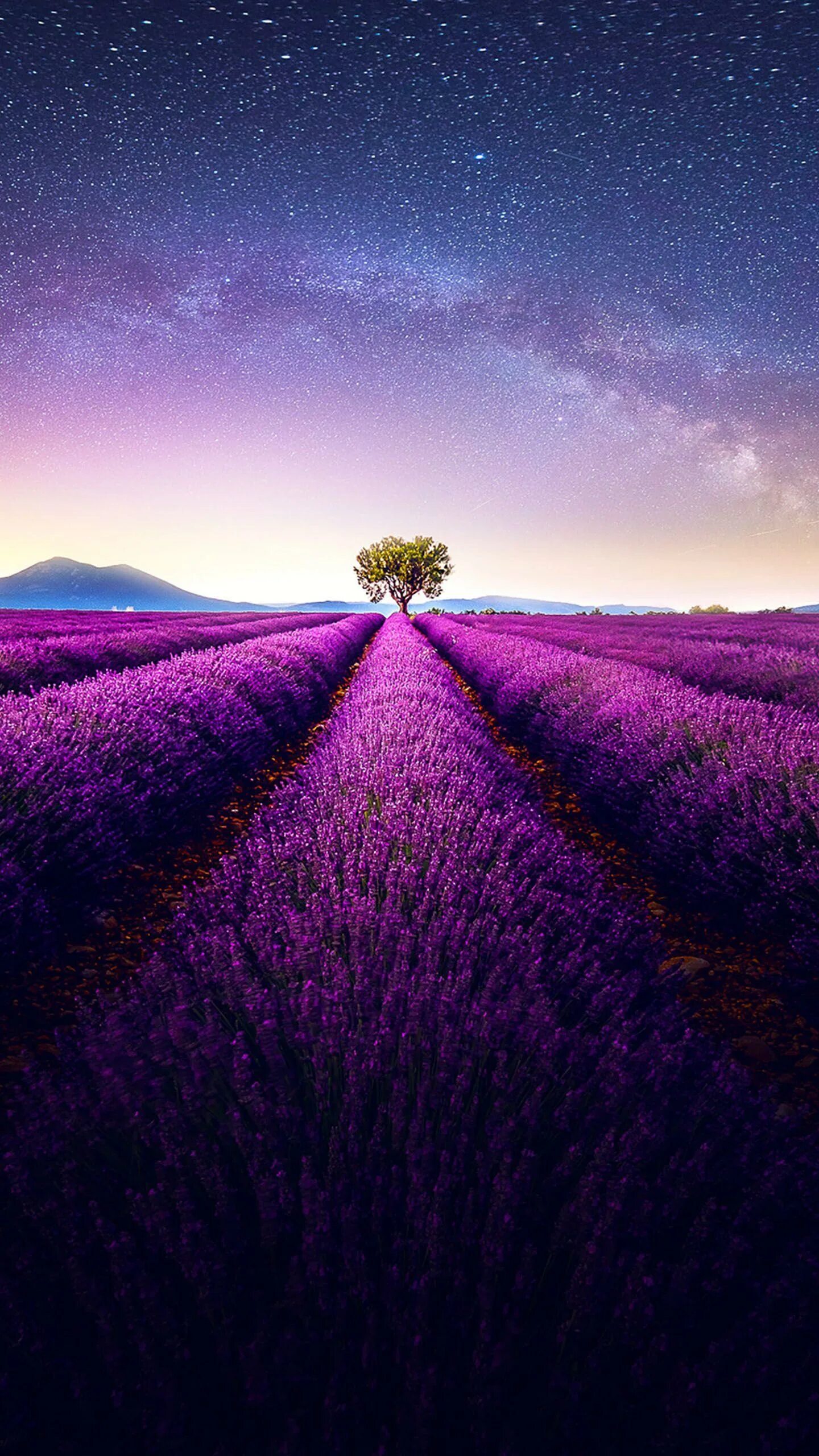 Анапа лавандовое поле тургеневка. Samsung лаванда. Samsung лаванда. Красивое поле. Samsung лаванда.