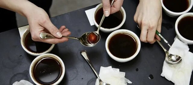 В разных странах подача кофе имеет огэ. Каппинг кофе. дегустация кофе. кофе тестируется. кофе тестируется на качество.