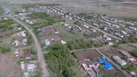 Погода комариха алтайского шипуновского