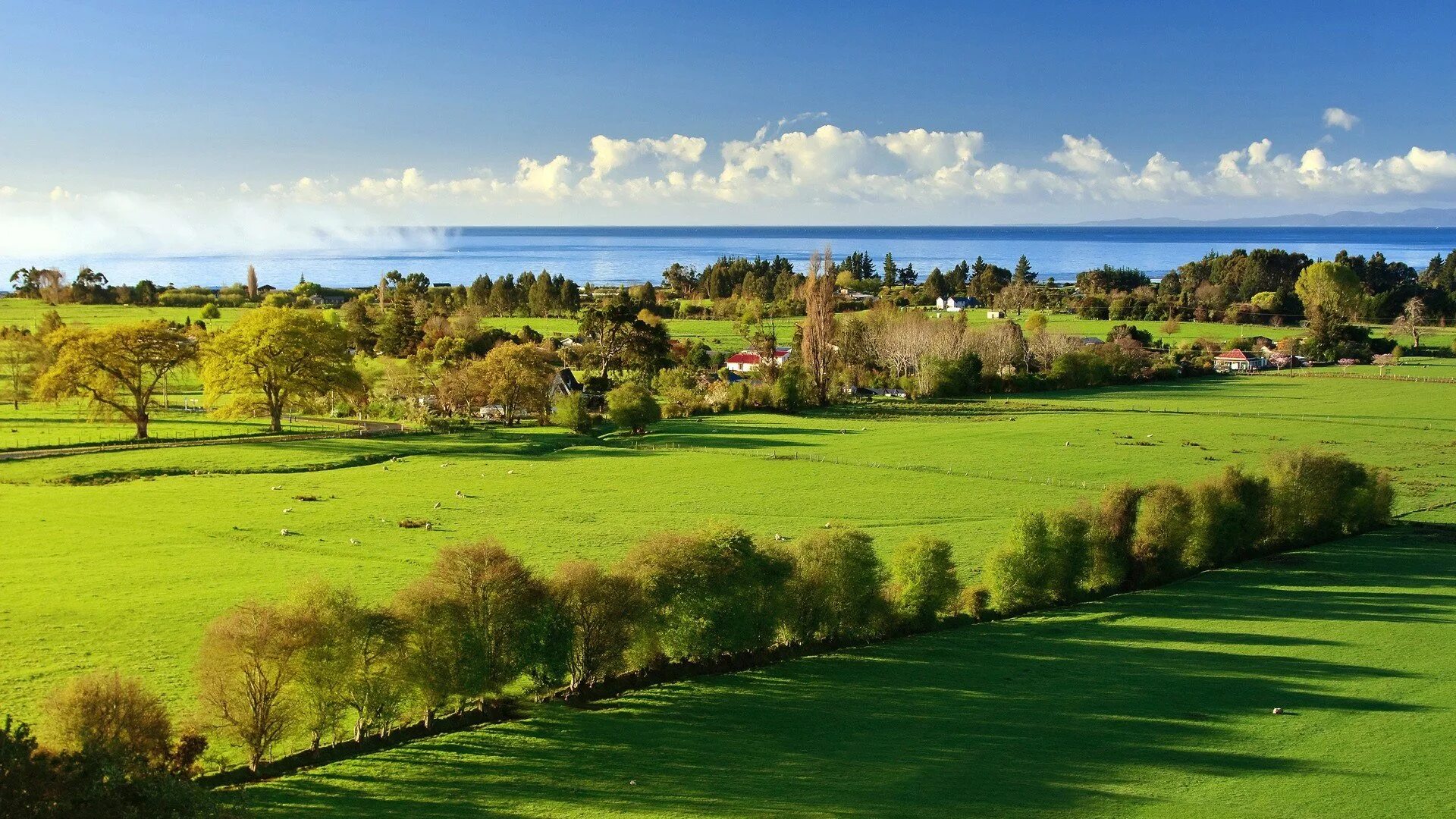 Spring valley лесная деревня