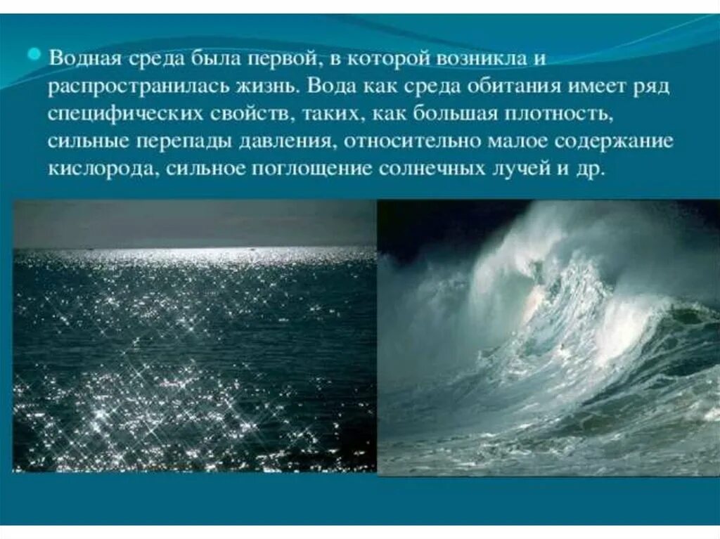 Особенности организмов в водной среде обитания