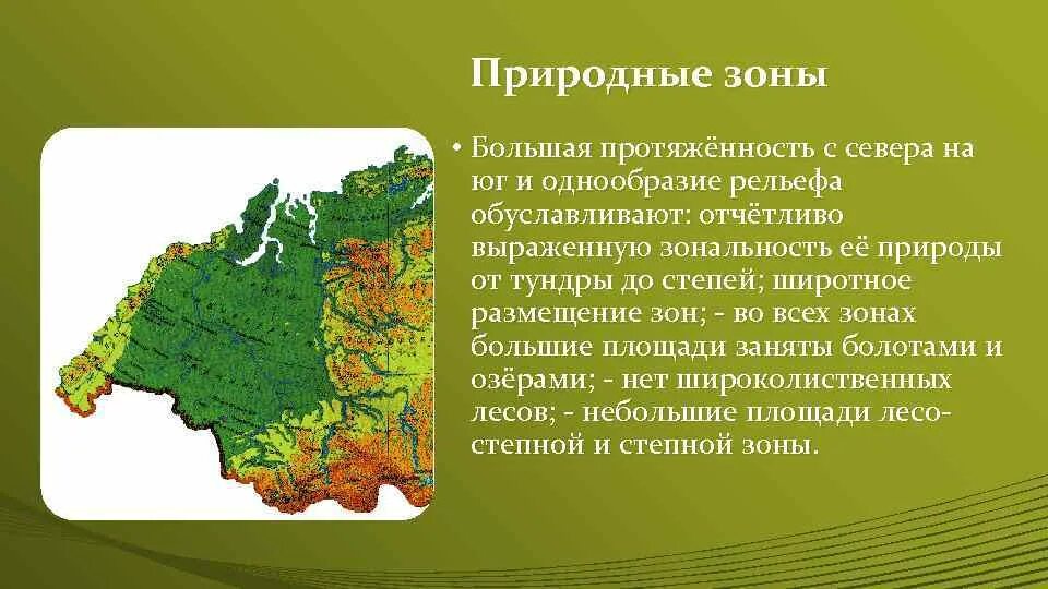 Природные зоны Западно-сибирской равнины 8 класс. Природные зоны Западной Сибири равнины. Зоны Западно сибирской низменности с севера на Юг. Рельеф Западно сибирской равнины. В каких природных зонах находится свердловская область