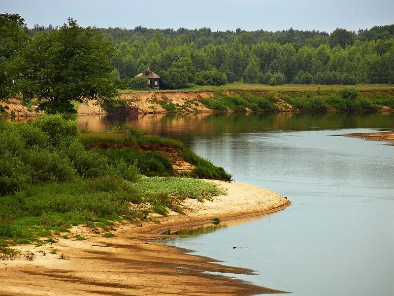 Река Клязьма обрывистый берег. Песчаный Плес реки. Река Ветлуга Пески. Песчаный берег реки.