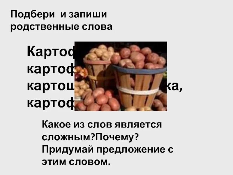 Подбери к слову картофель. Картофель родственные слова. Родственные слова картошка. Картофель однокоренные слова. Подбери к слову картофель родственные слова.