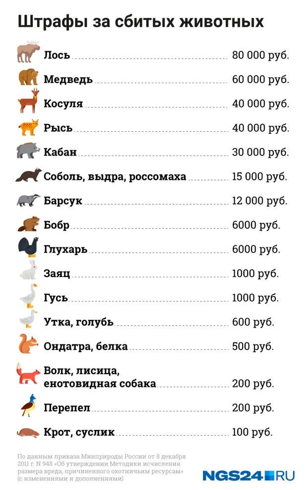 Штраф за сбитое дикое животное. Штраф за сбитое животное 2021. Машина после аварии с лосем. Штраф за сбитого лося 2024 на дороге. Штраф за сбитого лося 2024 на дороге.