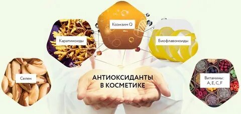 Экстракт антиоксидантов