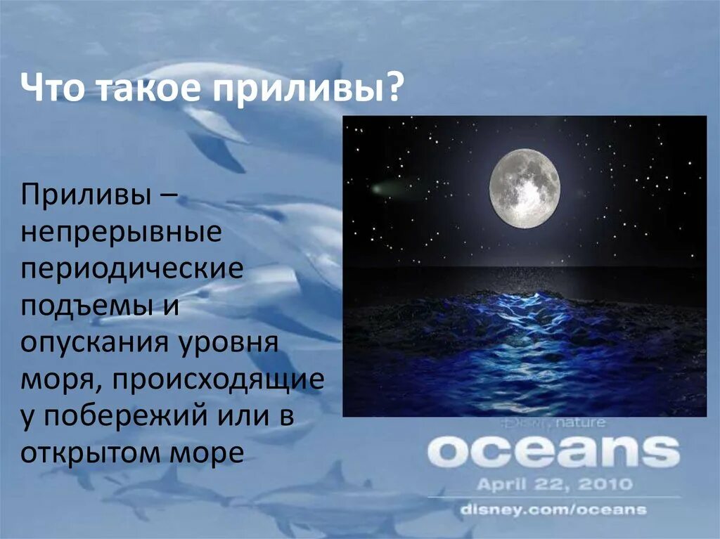 Приливы океана причины. Приливы и отливы кратко. Прилив. Приливы это в географии. Море прилив.