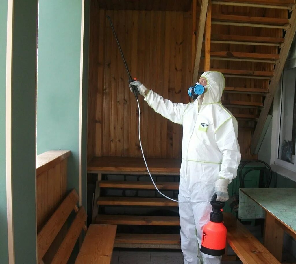 дезинсекция форумы. дезинфектор от клопов. дезинфектор от клопов и тараканов. дезинфекция от насекомых плесени. дезинсекция форумы.