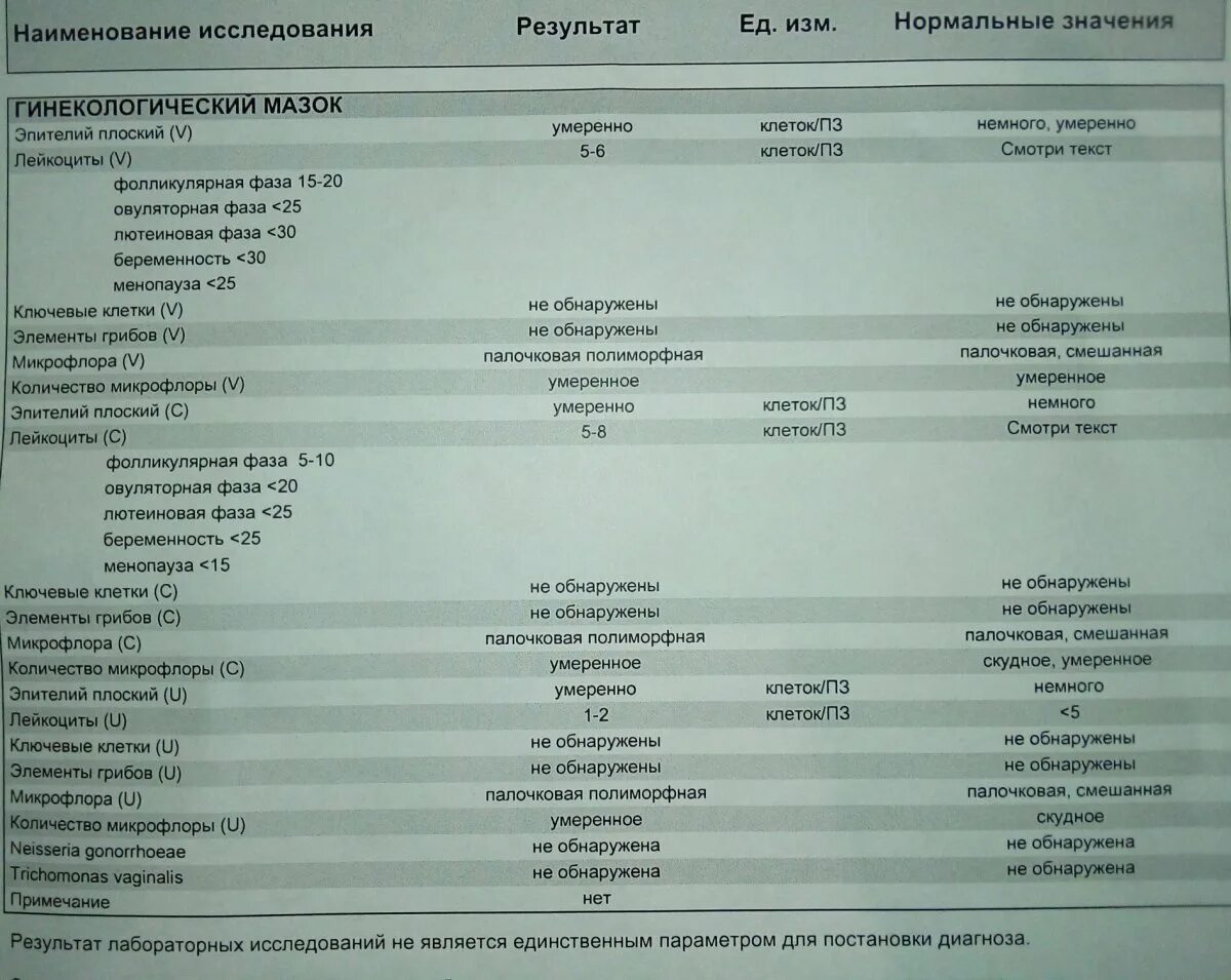 Микрофлора смешанная палочки. Мазок микрофлора палочки. Микрофлора палочковая в мазке.