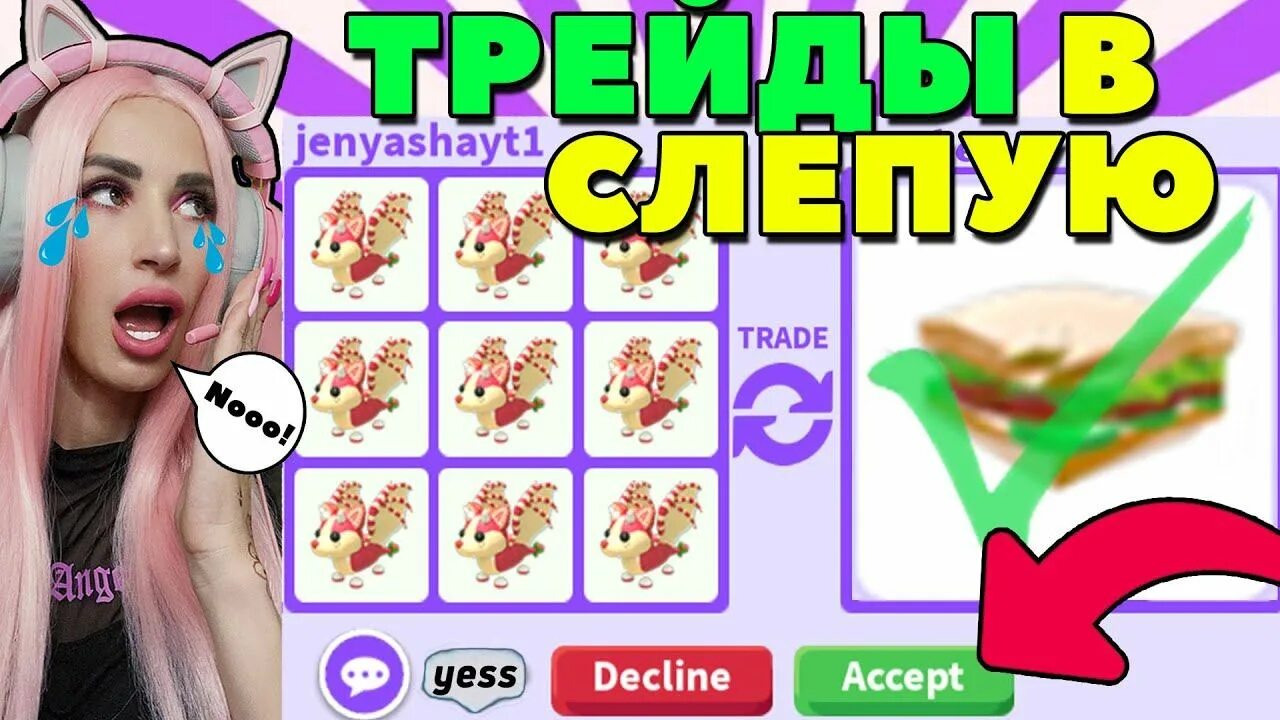 Как трейдить в адопт ми. Клубничный дракон адопт ми. клубничный бэт дракон адопт ми.