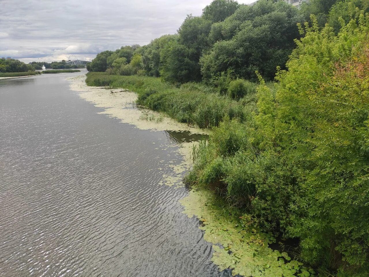 Вода в реке сура. Река Свияга Ульяновск. Река Свияга Буинск. Река Секерка Татарстан. Река Свияга Бишево.