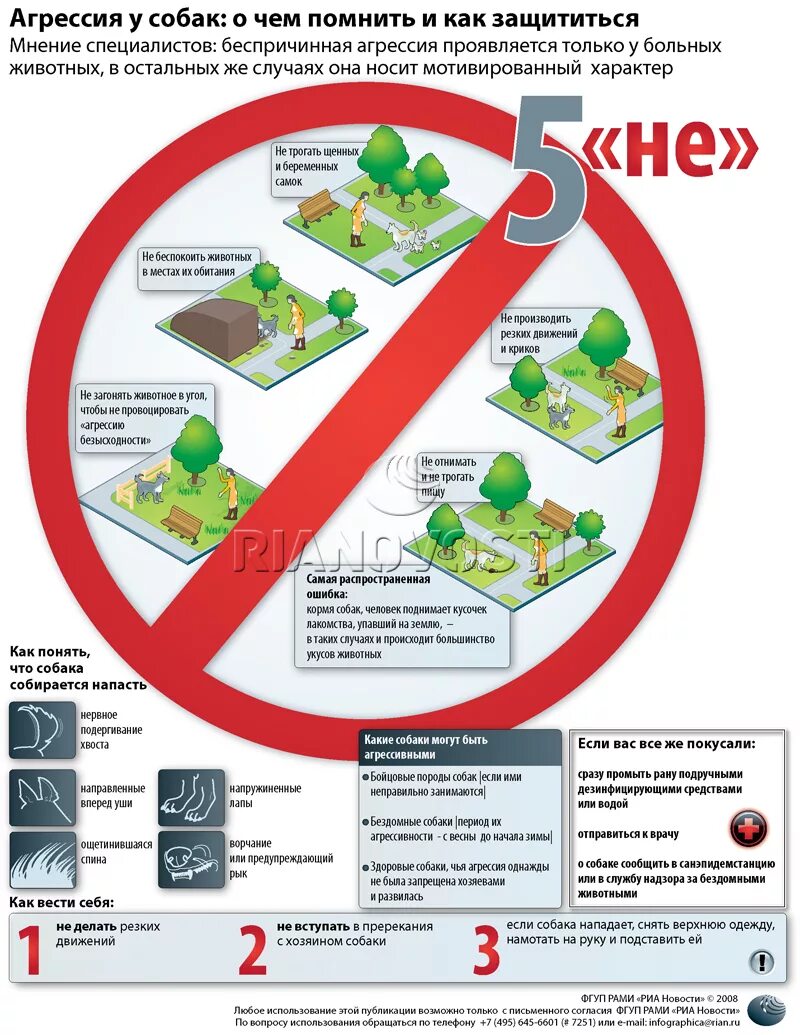 что делать если на вас напала собака. памятка действия при нападении собак. как защититься от собак памятка. памятка при нападении собаки. типичное одинцово бродячие собаки.