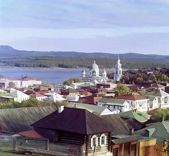 Цвет златоуст