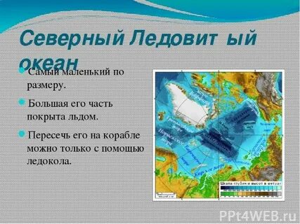 Северный ледовитый океан рельеф дна