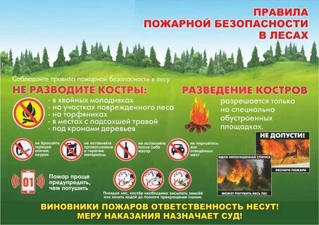 Пожарная безопасность древесины