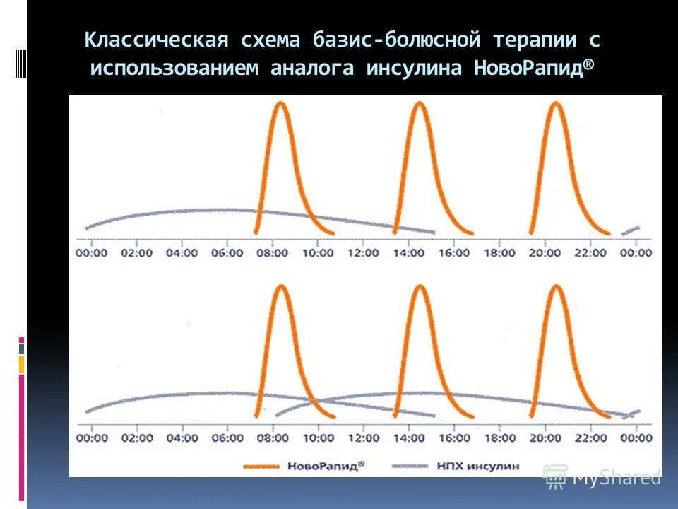 Базис болюсная. Новорапид график. Базис болюсная терапия инсулином. Базис болюсный режим инсулинотерапии это.