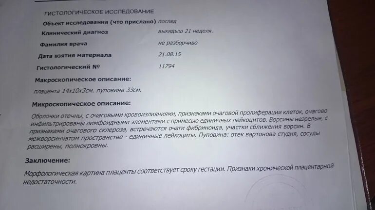 Протокол гистологического исследования замершей беременности. Гистологическое исследование эмбриона после замершей беременности. Гистология эмбриона после замершей беременности. Гистологическое исследование плода после прерывания беременности.