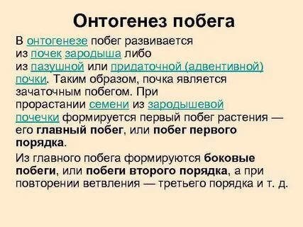 Онтогенез растений