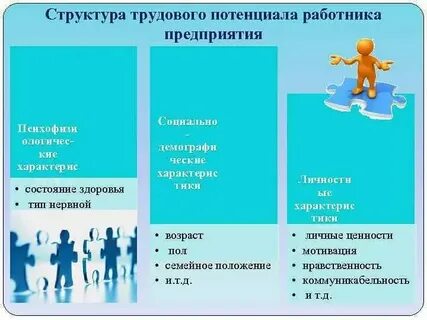 Социально трудовая структура экономики