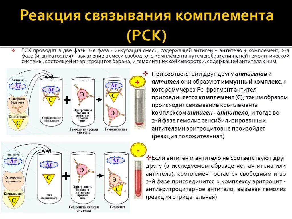 Комплемента рск. Положительный результат реакции связывания комплемента. Постановка реакции связывания комплемента микробиология. Реакция связывания комплемента схема. Схема постановки реакции связывания комплемента РСК.