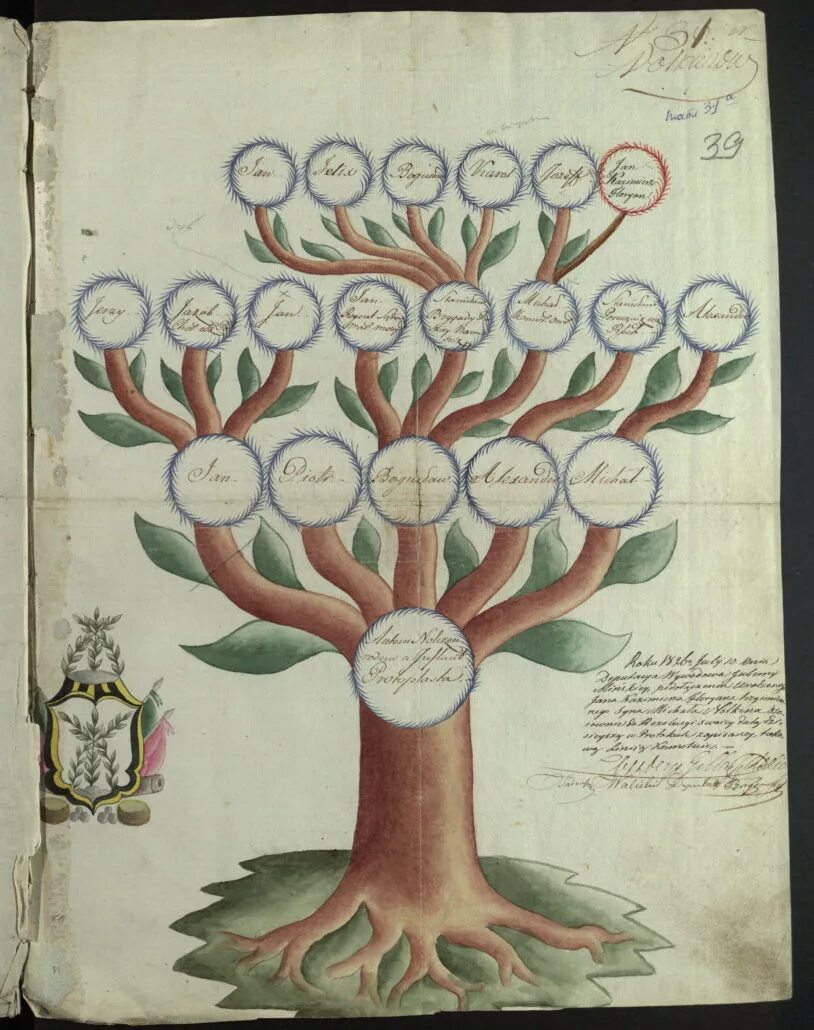 Нарисовать семейное древо 2. Родословное дерево. Родословная дерево. Генеалогическое дерево рисунок. Древо семьи рисунок.