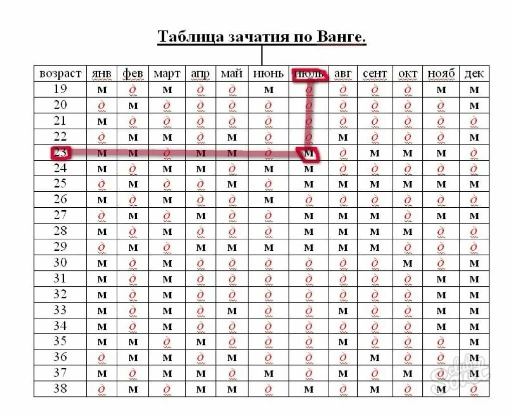 Пол по дате зачатия и возрасту. Таблица зачатия ребёнка по месяцам и годам. таблица зачатия двойне по возрасту. таблица подсчёта пола ребёнка. таблица зачатия по ванге.
