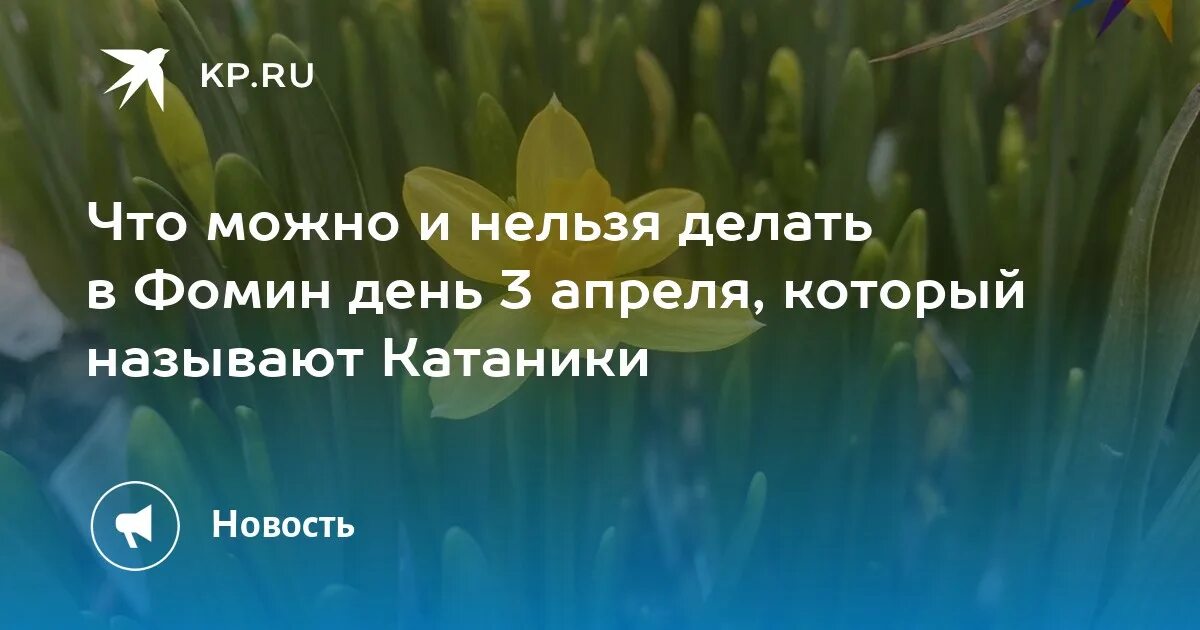 Третье апреля день водяного что. 3 Апреля день. 3 Апреля Фомин день. 3 Апреля Дата. День водяного 3 апреля картинки