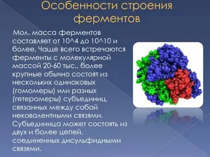 Состав ферментов биология