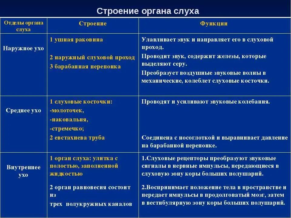 Тест орган слуха 8 класс. Строение и функции слухового анализатора таблица. Особенности строения слухового анализатора. Особенности строения слухового анализатора таблица. Строение слухового анализатора таблица.