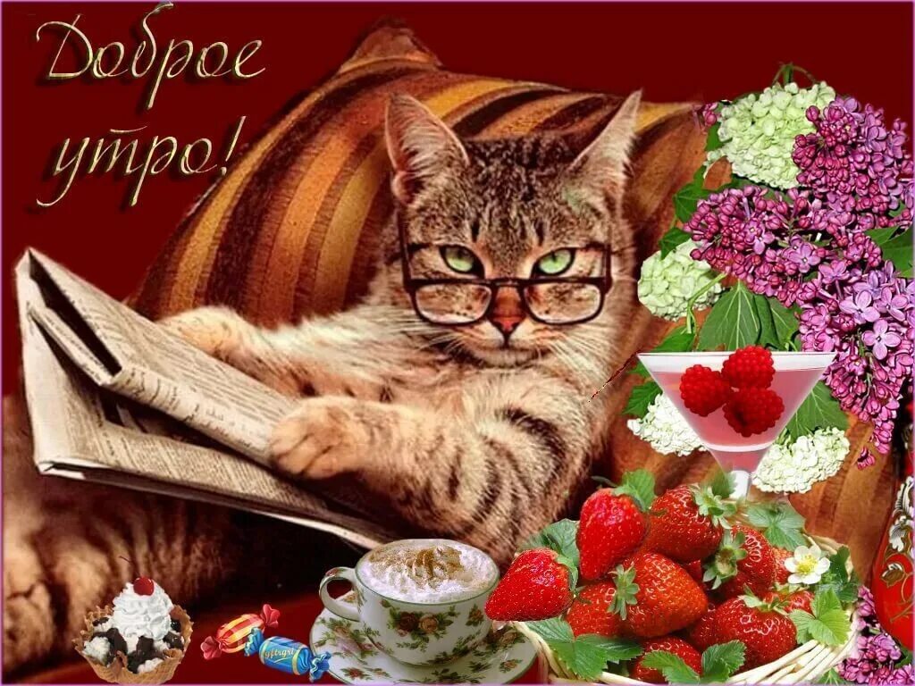 Открытки с добрым утром прикольн. Смешные пожелания доброго утра. Открыткитс добрым утром. Пожелание с до. Открытка с добрым утром хорошего дня прикольная.