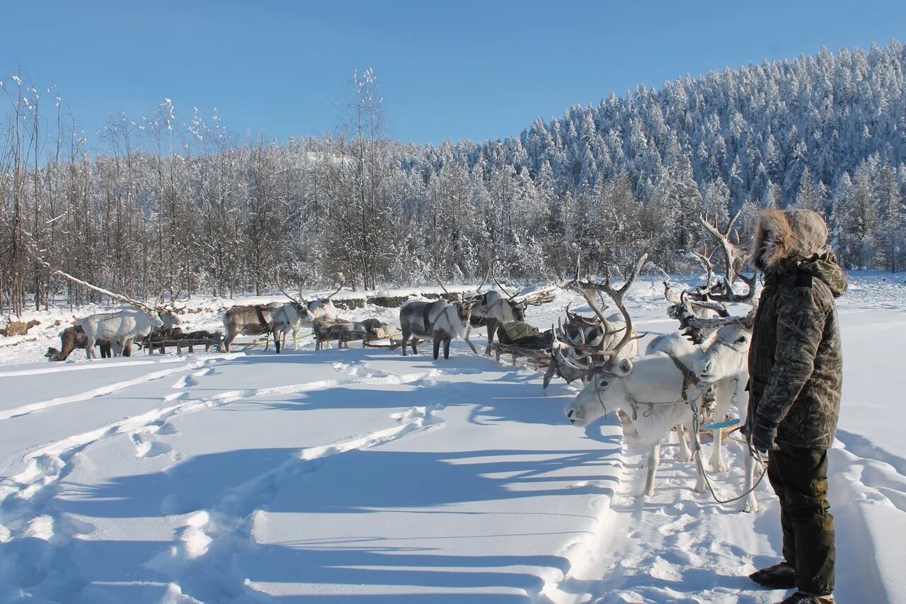 Страны холоднее россии. Самая холодная зима. В каком городе холоднее зимой. Самая холодная зима в россии. В каком городе холоднее зимой.