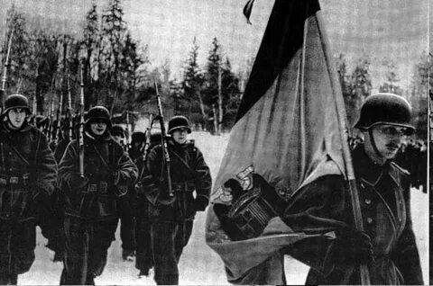 Голубая дивизия страна