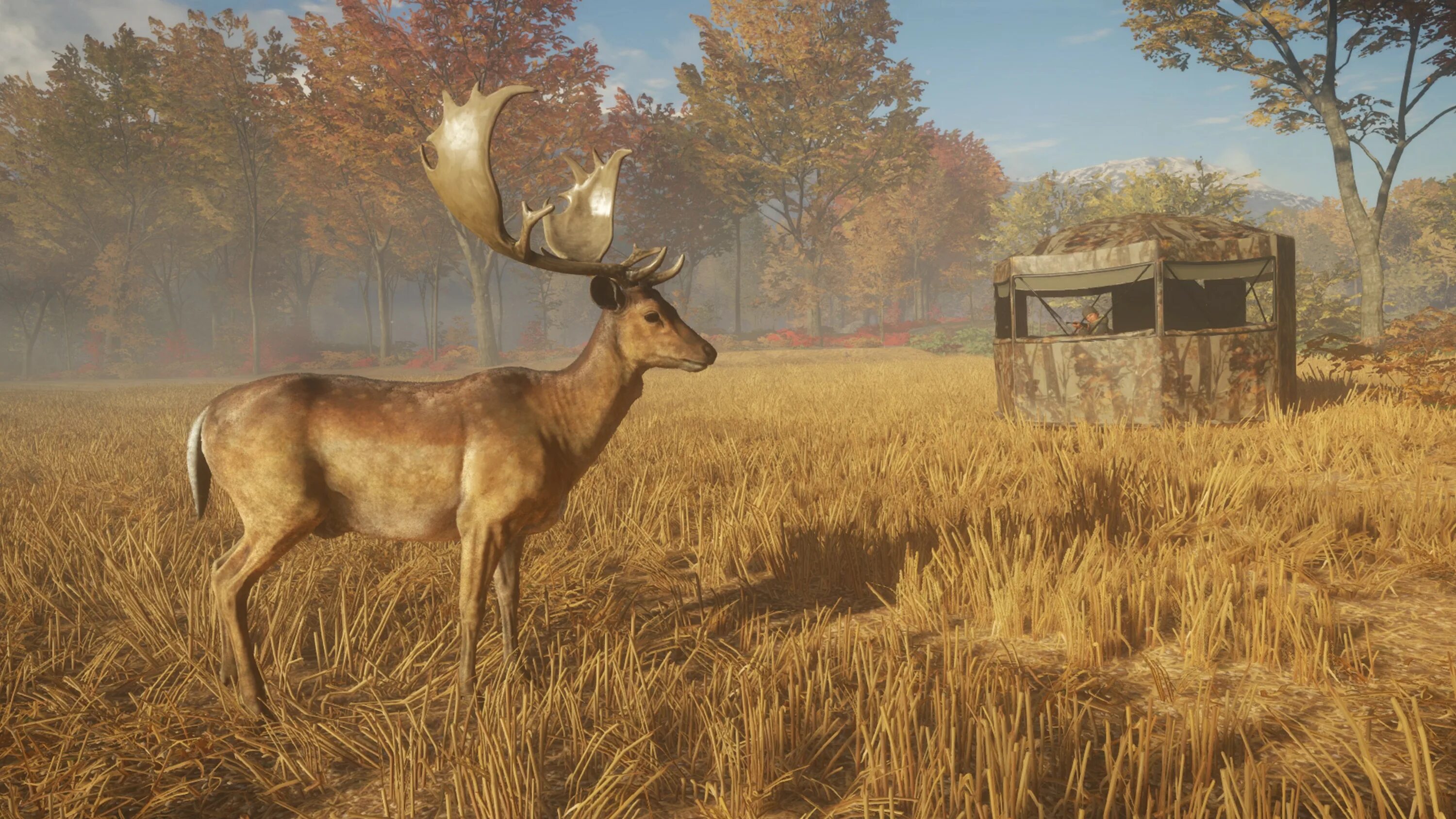 Call of the wild freetp. Thehunter: call of the wild. the hunter охота. the hunter call of the wild ключ. the wild hunter call of the wild.