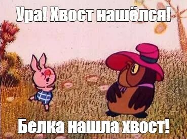 Хвост нашелся