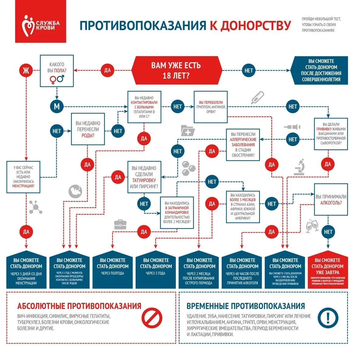 Может ли стать