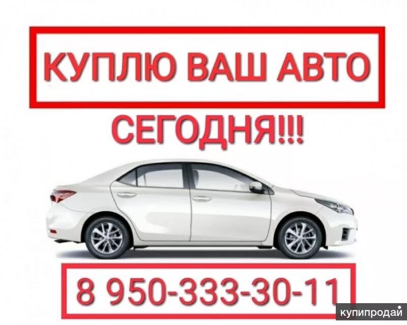 Объявления продажа омск. Выкупим ваш авто. Выкупим ваш автомобиль дорого. Выкуп любых авто. Выкупим ваш автомобиль в любом состоянии.