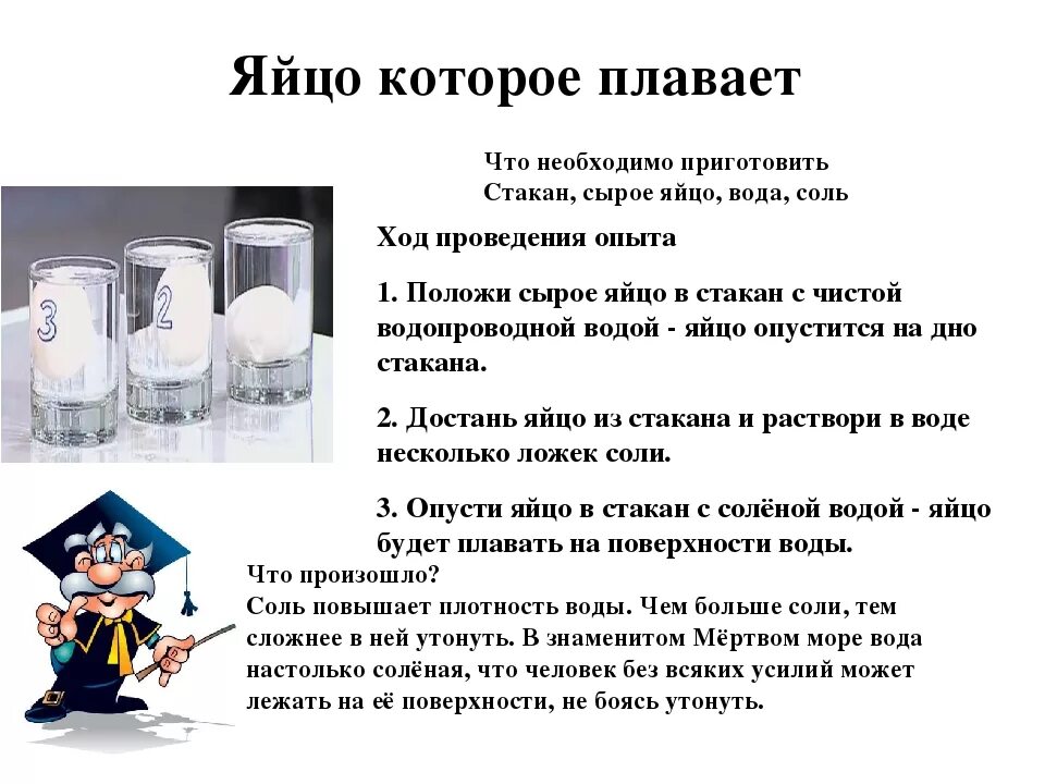 Проект с опытом 4 класс Экологический проект "Значение света для растений" презентация, доклад