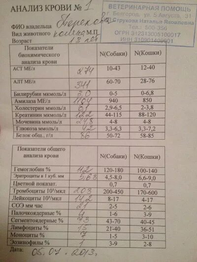 Заболевания печени какие анализы. Плохие показатели крови. Анализ крови на печень. Анализы печеночные анализы крови. Показатели анализов печени.